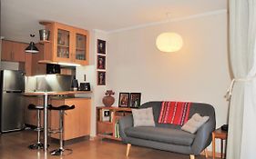 Studio Apartment En Providencia